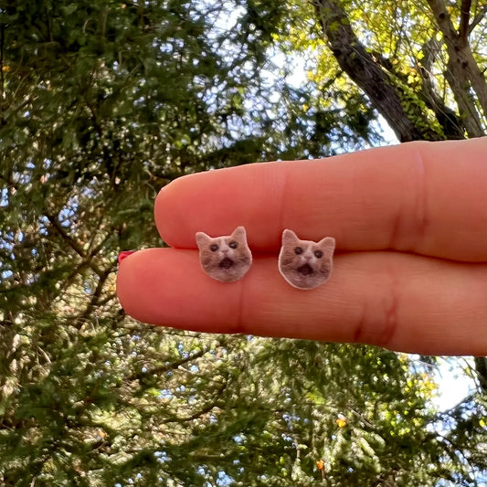 Surprised Kitty Earrings