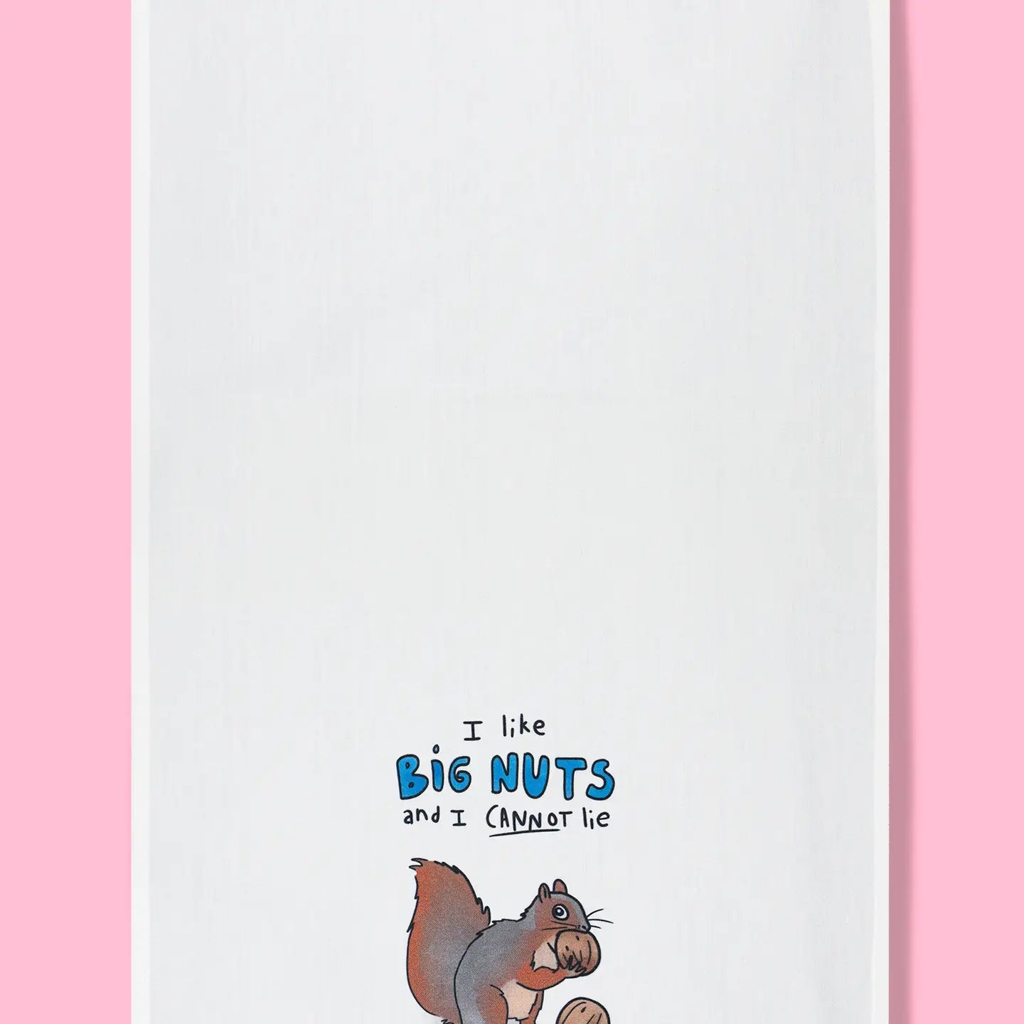 I Like Big Nuts Dish Towel