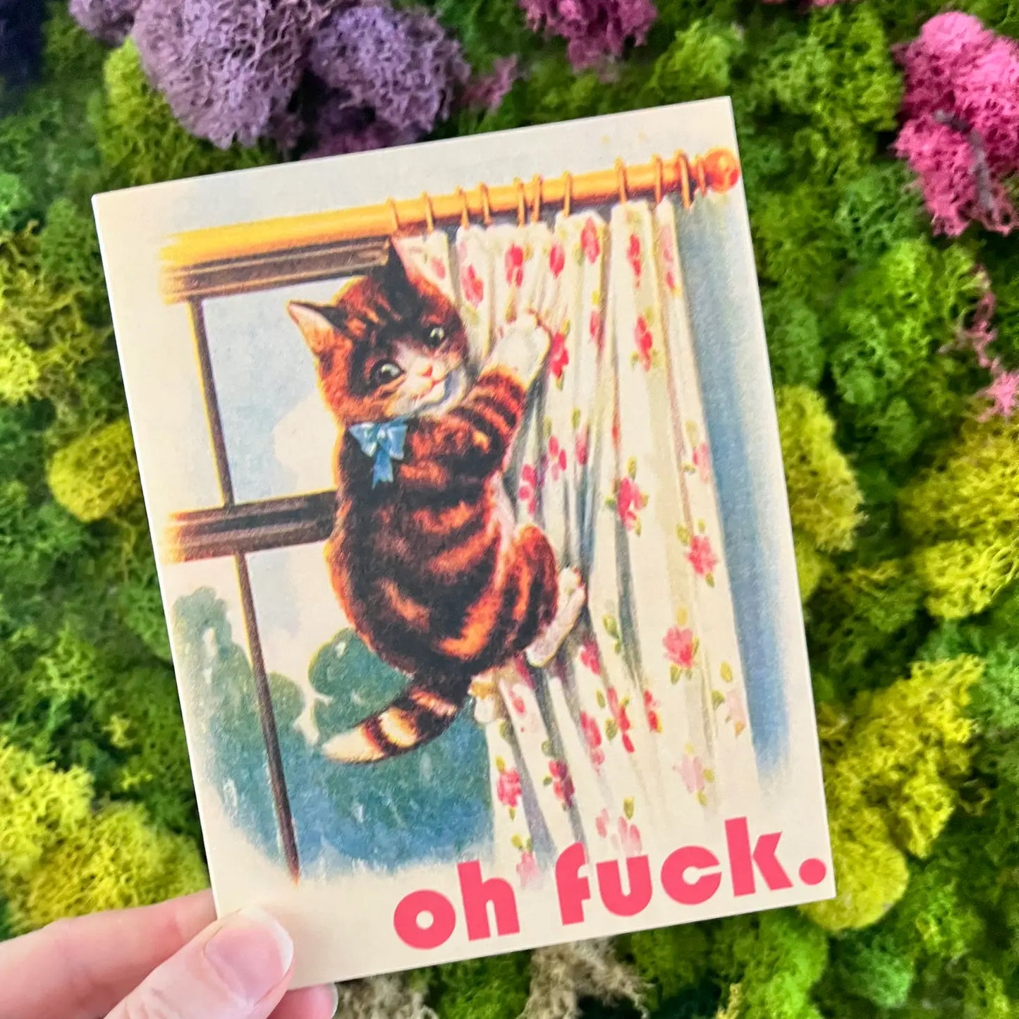 Oh F*ck Kitty Greeting Card