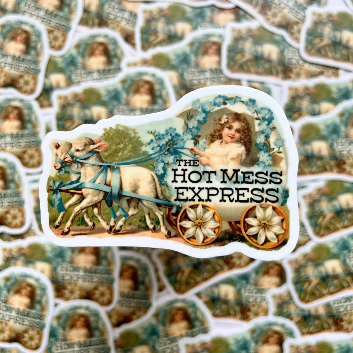 Hot Mess Express Vinyl Sticker